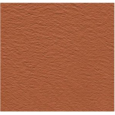 Плитка фарфоровая Serapool Antislip 250x250 мм, терракот (25404) Плитка фарфоровая Serapool Antislip 250x250 мм, терракот (25404)