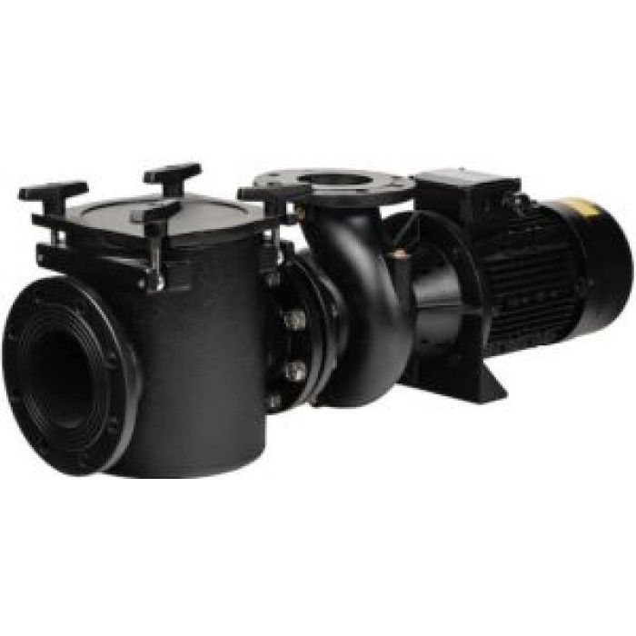 Насос с префильтром 123 м3/ч Astral Pool Aral Plus C-3000 5,5 кВт 380 В (76925) Насос с префильтром 123 м3/ч Astral Pool Aral Plus C-3000 5,5 кВт 380 В (76925)