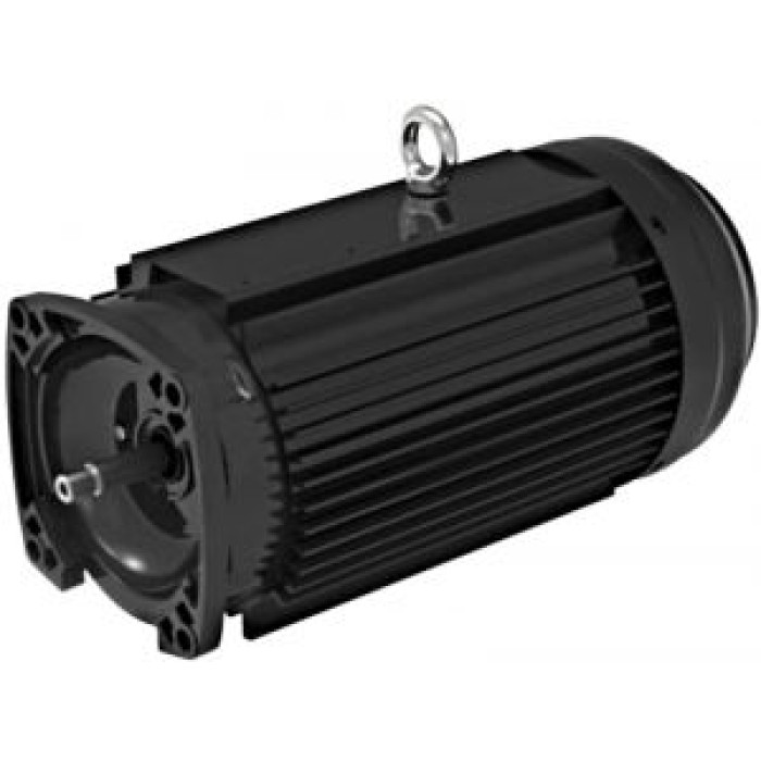 Электродвигатель насоса Emaux UPH550 (42059099029) Электродвигатель насоса Emaux UPH550 (42059099029)