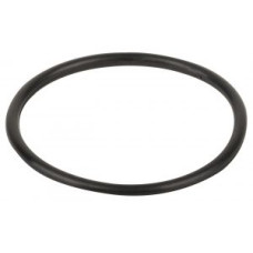 Уплотнительное кольцо крышки фильтра Jazzi Pool 900-1200 мм (000003b)
