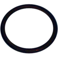 Кольцо подсоединения моторного блока для робота пылесоса Dinotec AquaCat (1610-112-01) Кольцо подсоединения моторного блока для робота пылесоса Dinotec AquaCat (1610-112-01)