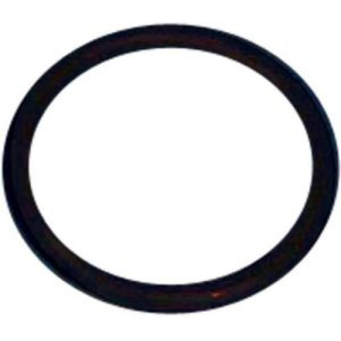 Кольцо подсоединения моторного блока для робота пылесоса Dinotec AquaCat (1610-112-01) Кольцо подсоединения моторного блока для робота пылесоса Dinotec AquaCat (1610-112-01)