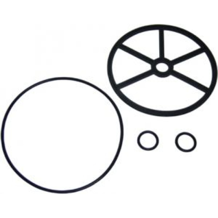 Набор уплотнений для 6-ти позиционного вентиля 2" Astral Pool (4404120407) Набор уплотнений для 6-ти позиционного вентиля 2" Astral Pool (4404120407)