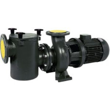 Насос с префильтром 158 м3/ч Saci pumps CF-2 1500, 7,5 кВт, 380 В (27100041)