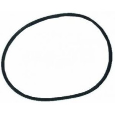 Уплотнительное кольцо фланца бочки фильтра BRASIL Kripsol (RBK 030.A/500311000301/RCFI0003.01R)