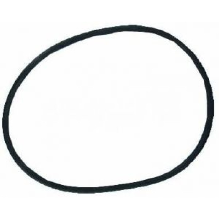 Уплотнительное кольцо фланца бочки фильтра BRASIL Kripsol (RBK 030.A/500311000301/RCFI0003.01R) Уплотнительное кольцо фланца бочки фильтра BRASIL Kripsol (RBK 030.A/500311000301/RCFI0003.01R)
