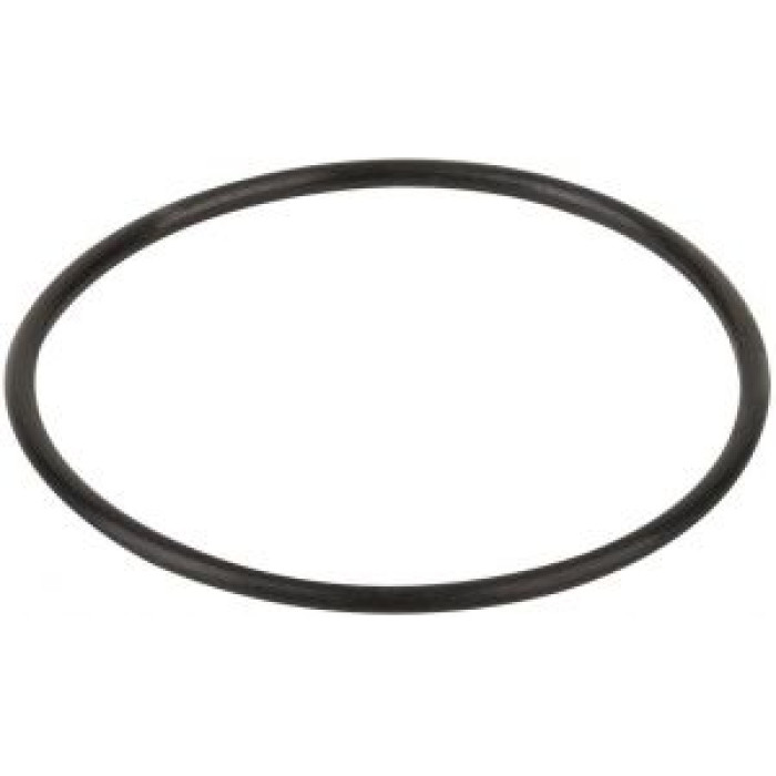 Уплотнительное кольцо корпуса насоса КА/КАР Kripsol (RKA 220.R/ RBH0017.00R) Уплотнительное кольцо корпуса насоса КА/КАР Kripsol (RKA 220.R/ RBH0017.00R)