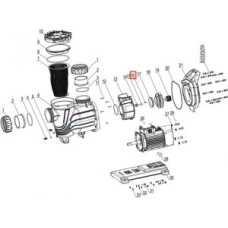 Шпонка рабочего колеса насоса Mayer Schwimmbad LX SLP/WLP (J62010008)