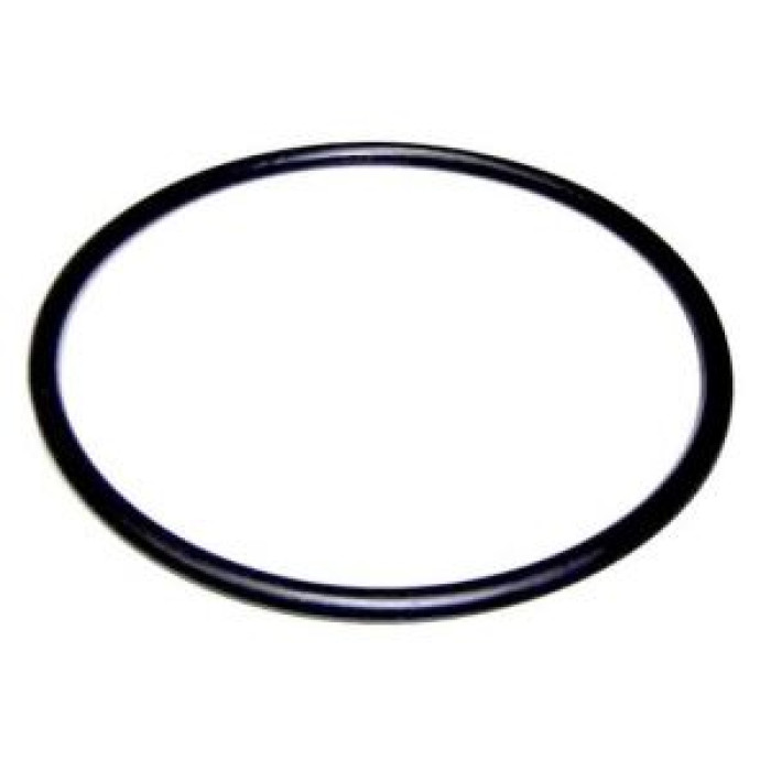 Уплотнение корпуса насоса Astral Pool Sena (4405010440) Уплотнение корпуса насоса Astral Pool Sena (4405010440)